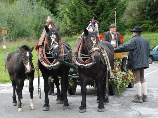 Umzug beim XV. Käsefestival in Kötschach-Mauthen