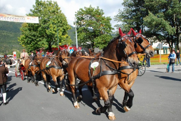 Umzug beim XV. Käsefestival in Kötschach-Mauthen